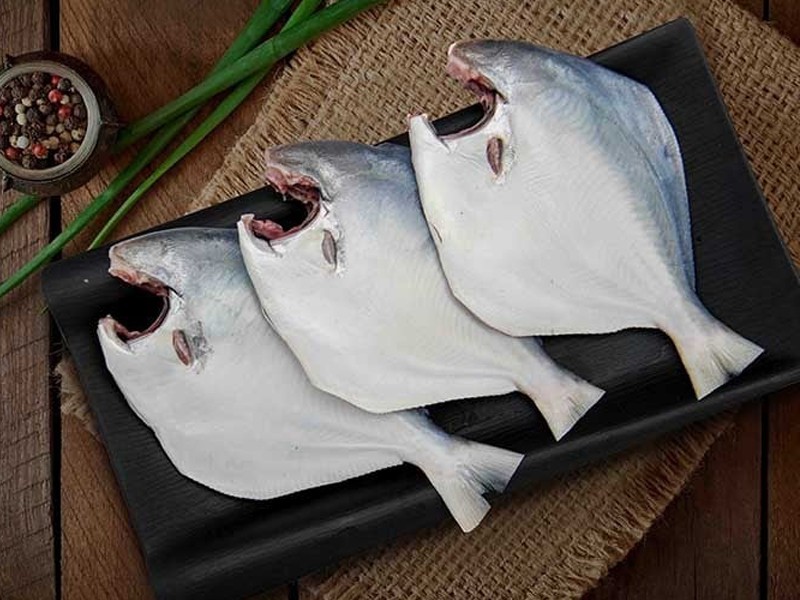 সুস্বাদু এবং পুষ্টিকর রূপচাঁদা মাছ