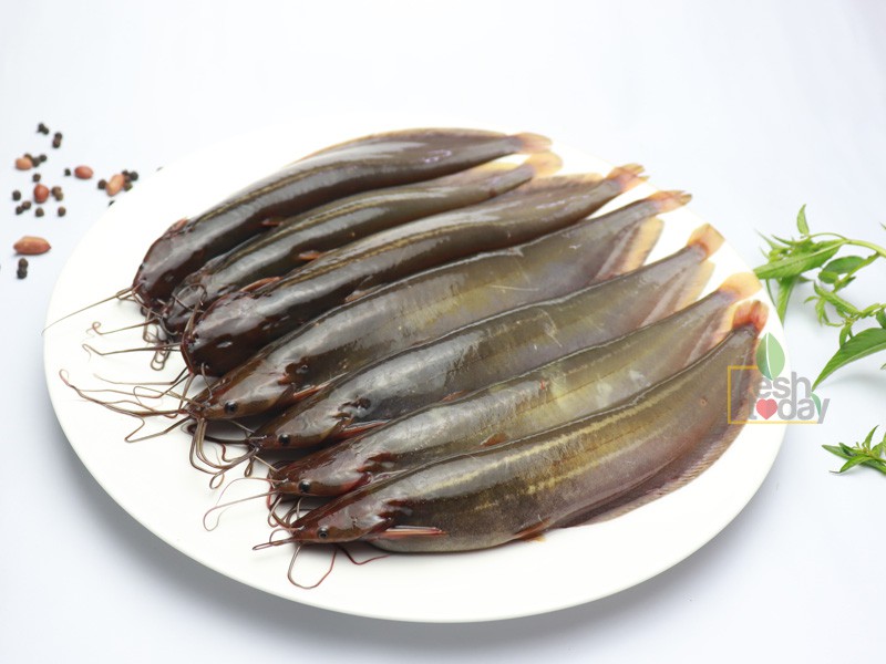 Biler Deshi Shing Fish Whole (বিলের দেশী শিং মাছ)