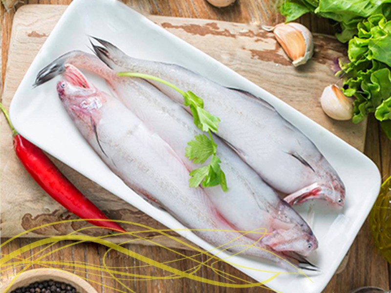 Premium Loitta Fish Whole (সামুদ্রিক লইট্রা মাছ)